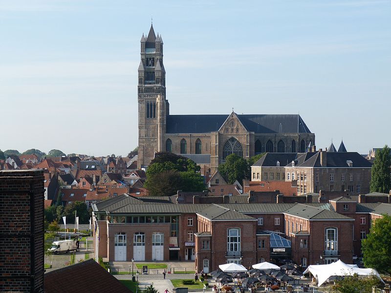 view on bruges from de halve maan brewery 11