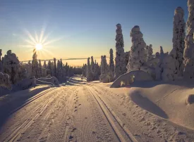 Lapponia, Finlandia: dove si trova, quando andare e cosa vedere