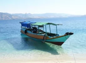 Isola di Flores, Indonesia: dove si trova, quando andare e cosa vedere