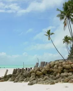Isola di Mnemba, Arcipelago di Zanzibar
