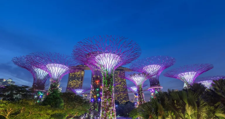 Night View Of Super Tree Grove In Garden Rhapsody Ocbc Light And Sound Show At Gardens By The Bay In Singapore