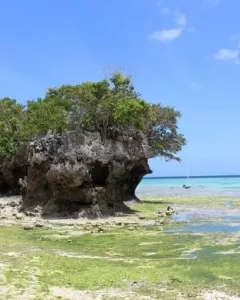 Isola di Pemba, Arcipelago di Zanzibar