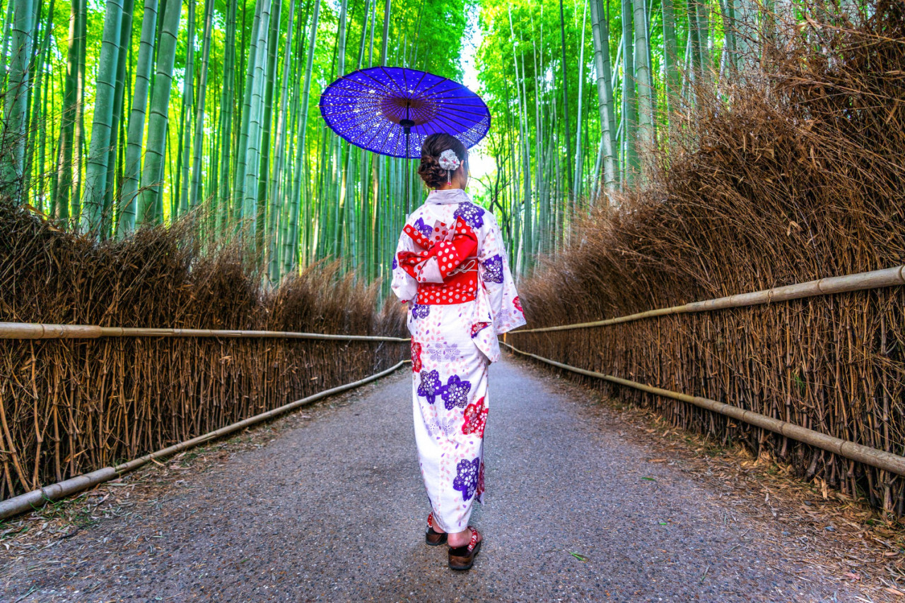 bamboo forest asian woman wearing japanese traditional kimono bamboo forest kyoto japan