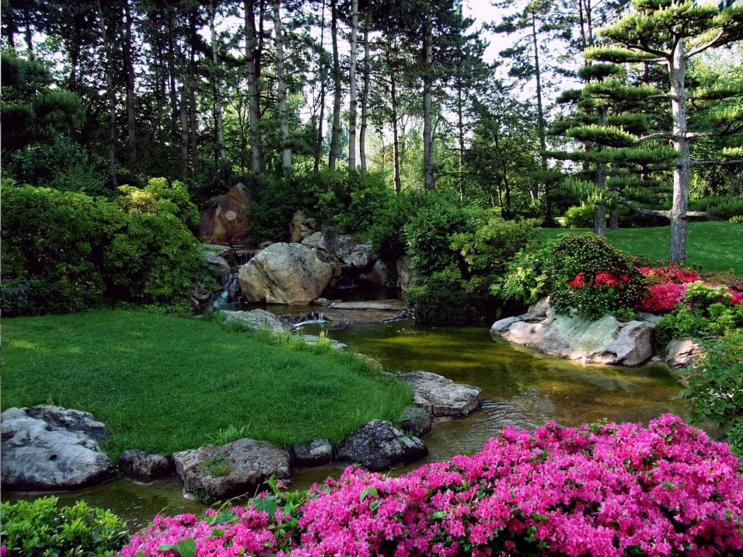 paesaggio giardino giapponese