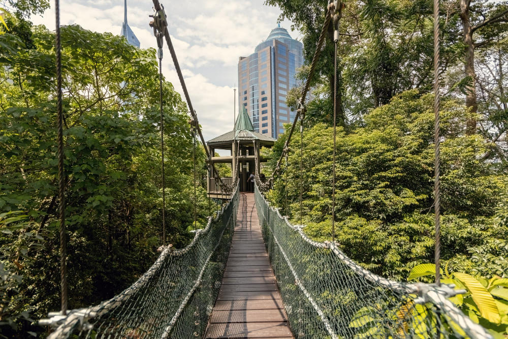 ponte pedonale a baldacchino sospeso nel kuala lumpur eco park forest a kuala lumpur in malesia