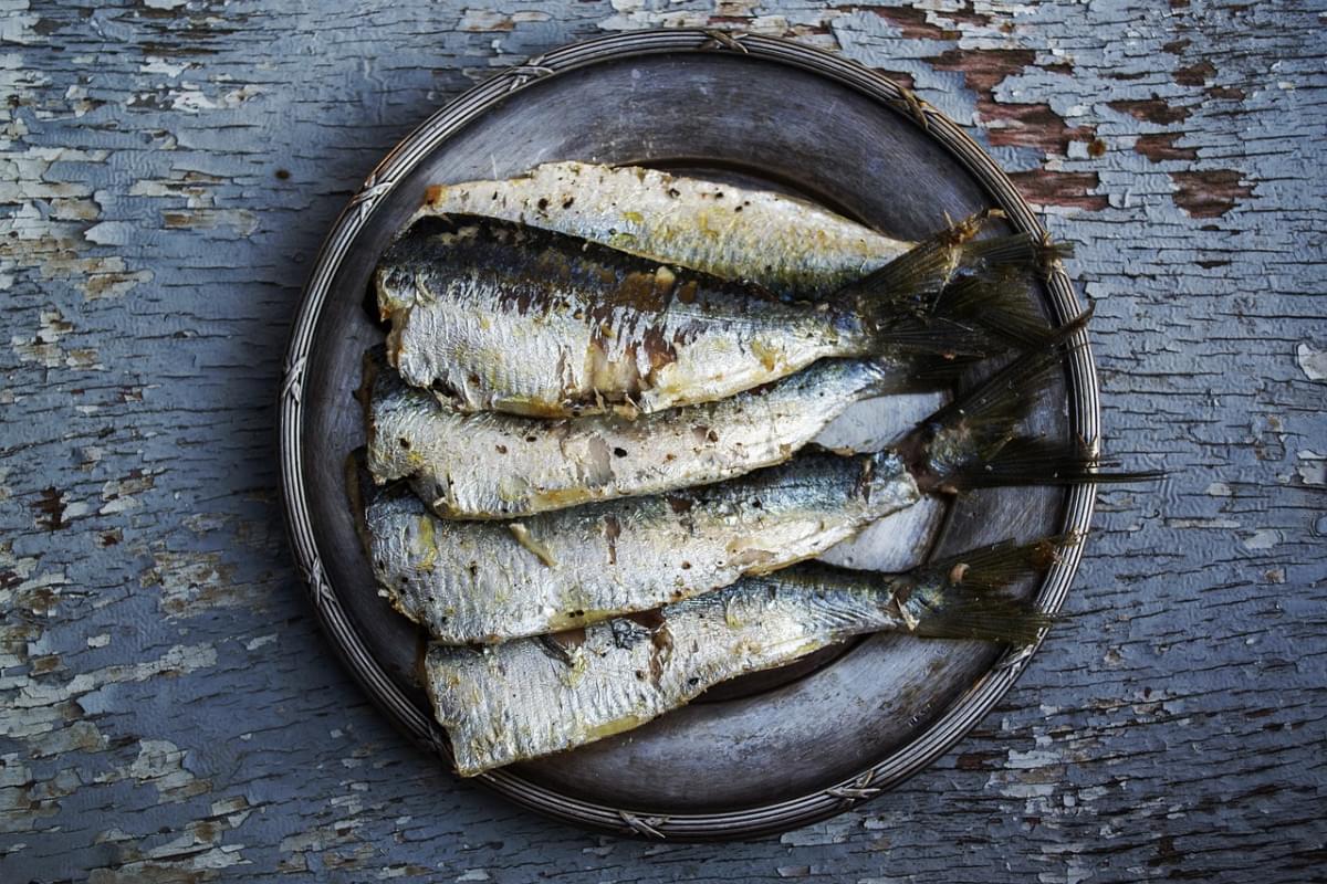 sardine pesce cibo placcato cibo 1