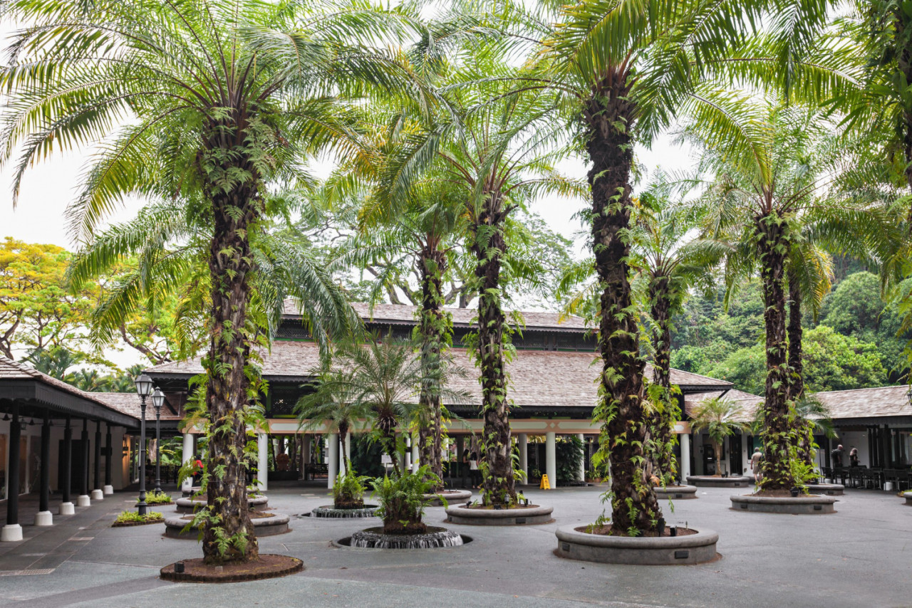 singapore october 17 2014 the singapore botanic gardens is a 74 hectare botanical garden in singapore