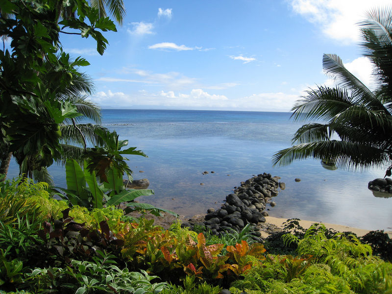 taveuni coast 1