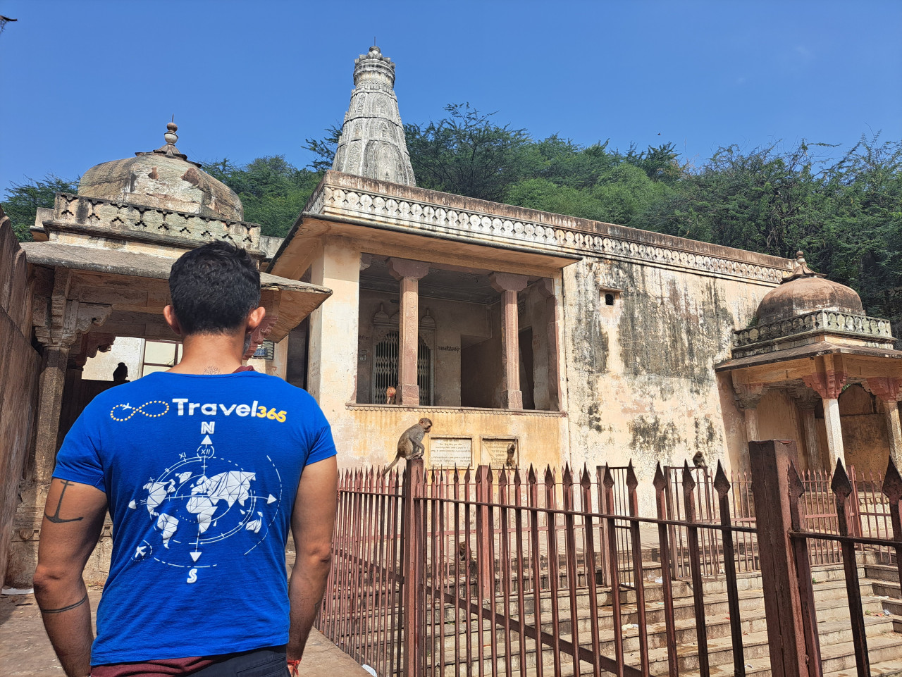 tempio di galtaji scimmie jaipur 2