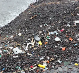 Classifica dei mari più inquinati al mondo