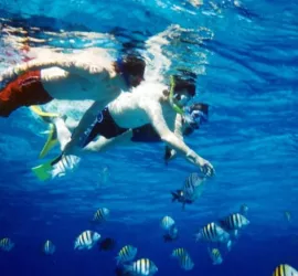 Classifica dei 20 luoghi migliori al mondo dove fare Snorkeling