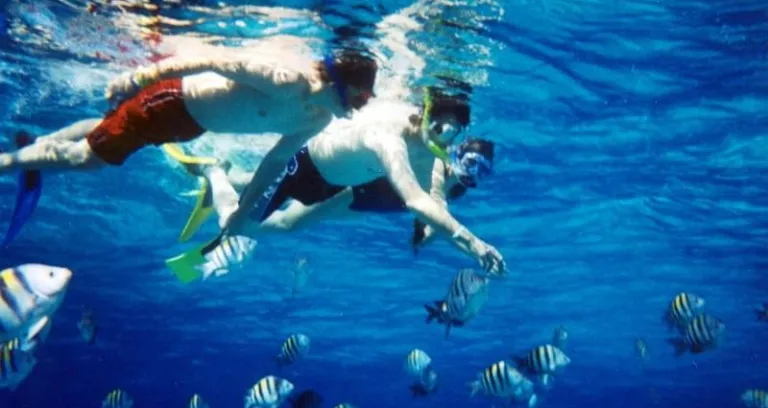 1  Snorkeling