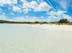 Cala Brandinchi in Sardegna: info, immagini e come arrivare