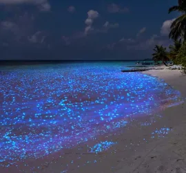 La spiaggia di Vaadhoo: il Mare delle Stelle nelle Maldive