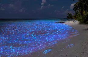 La spiaggia di Vaadhoo: il Mare delle Stelle nelle Maldive