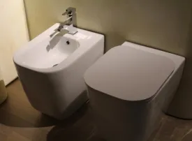 In quali Paesi è usato il Bidet?