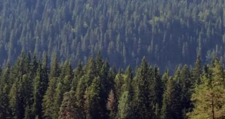 Parco Nazionale Durmitor, Montenegro