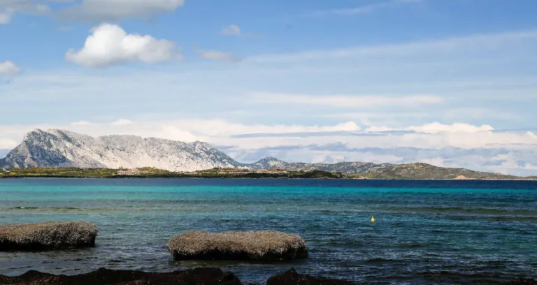 A Scenic Shot Of La Cinta Beach