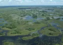 Safari in Zimbabwe