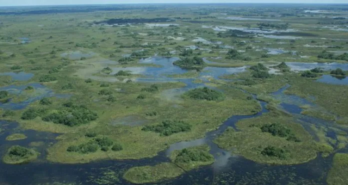 A View Of The Delta