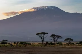 Amboseli National Park, Kenya: dove si trova, quando andare e cosa vedere