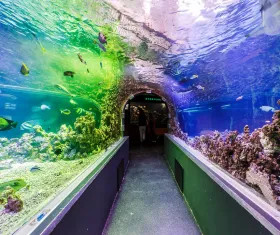 Acquario di Bergen