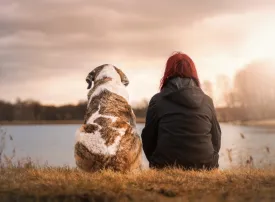 Turismo Pet Friendly: Vacanze a Jesolo con il cane