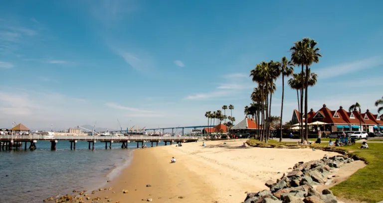 Amplified View Of The Coast Of Coronado Island In California Usa 1