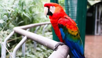 Bioparco Temaikèn