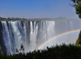Safari in Zambia: prezzi, quando andare e dove