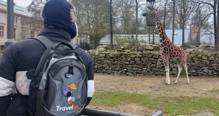 Artis Royal Zoo 3