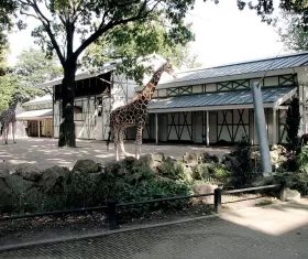 Amsterdam Royal Zoo