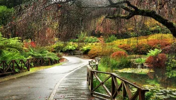 Mount Dandenong