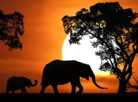 Climi e Viaggi: i periodi migliori per viaggiare