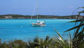 Tour di un giorno alle Bimini, Bahamas