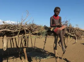 Safari in Etiopia: prezzi, quando andare e dove