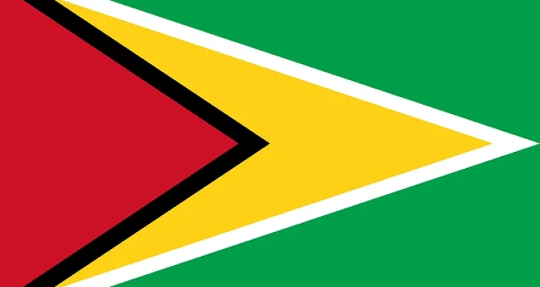 bandiera guyana