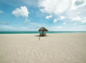 Barbuda, Caraibi: dove si trova, quando andare e cosa vedere
