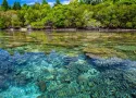 Isole Molucche