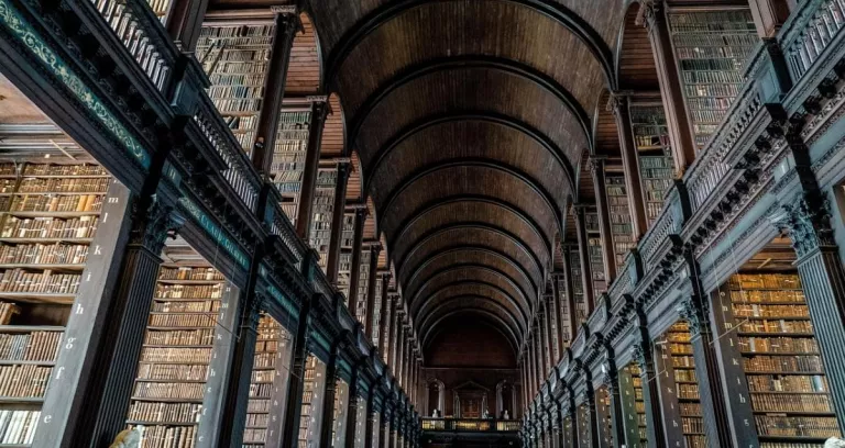 Biblioteca Libri Dublino Irlanda 1