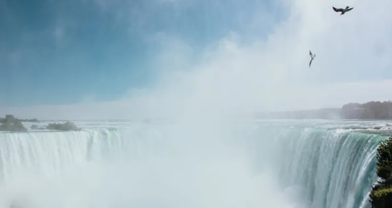 Birds Flying Over A Huge Waterfall