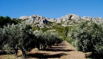 Le Alpilles