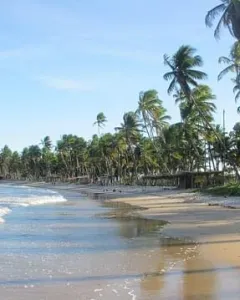 Salvador De Bahia