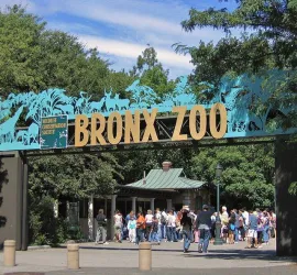 Visita al Bronx Zoo di New York: Come arrivare, prezzi e consigli