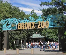 Bronx Zoo