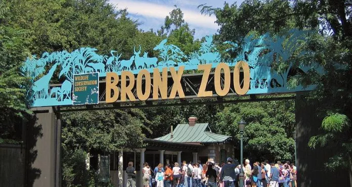 Bronx Zoo 001