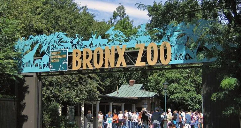 Bronx Zoo 001