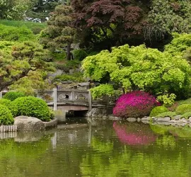 Visita al Brooklyn Botanic Garden di New York: Come arrivare, prezzi e consigli