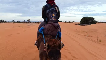 Deserto di Agafay