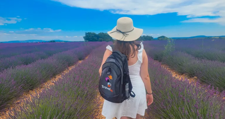 Campi Di Lavanda